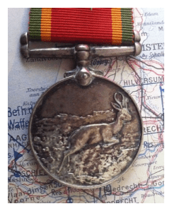 rsz_southafricawarmedal1