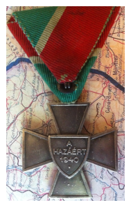 rsz_hundefencecross1