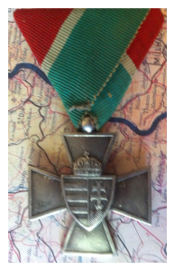 rsz_hundefencecross2